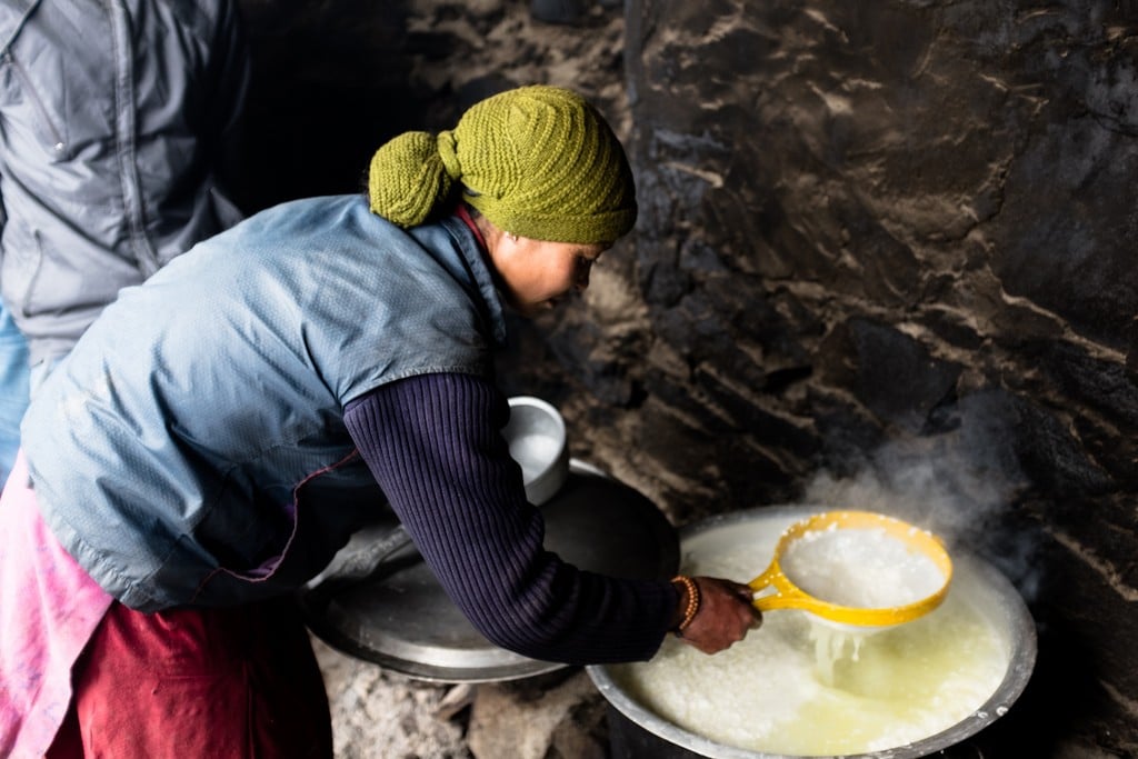 Preparation of Yak Cheese from Yak Milk- Bests food to try in Leh Ladakh