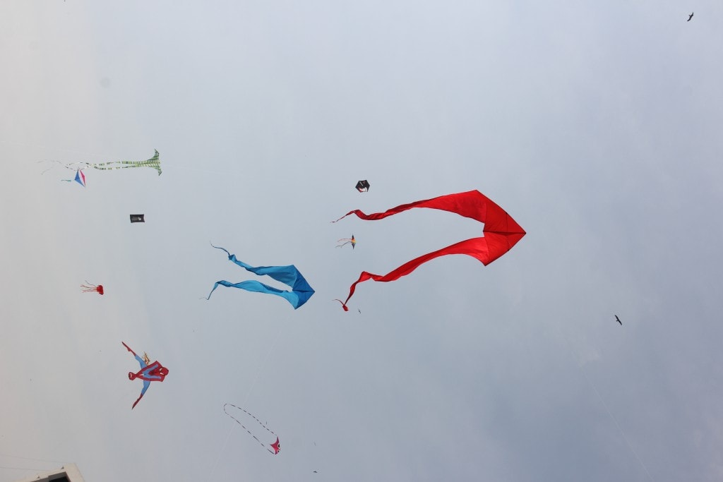 A Sky Full of Kites