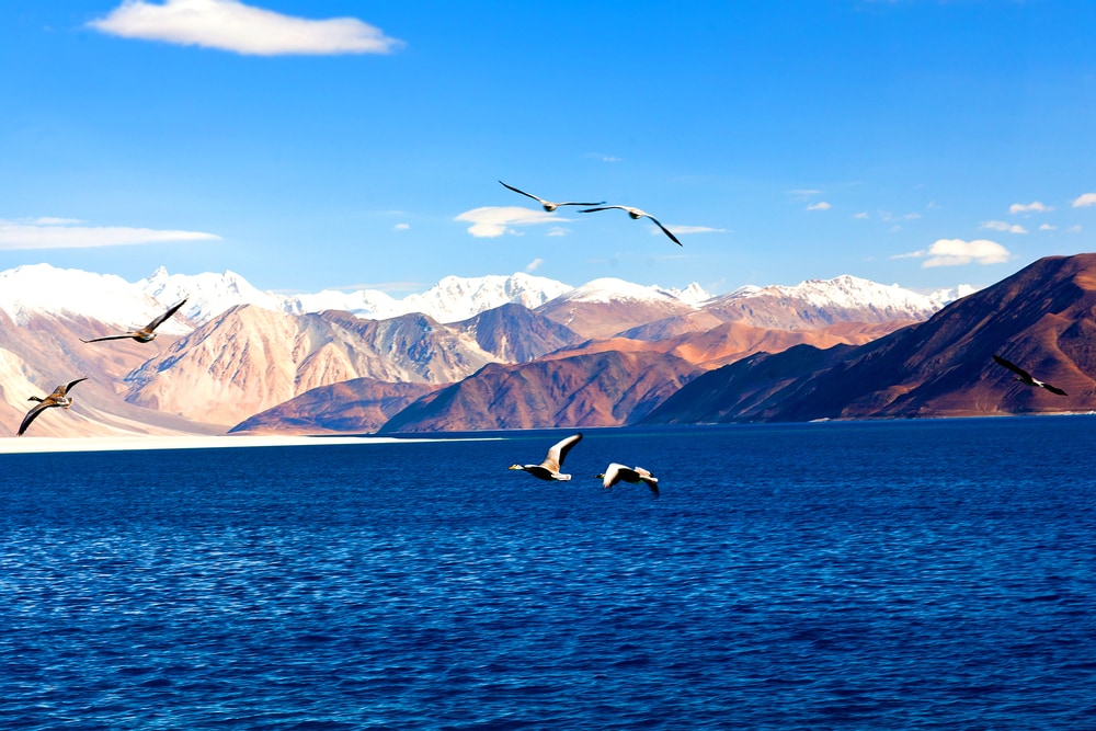 Pangong Tso - one of the famous lakes in India