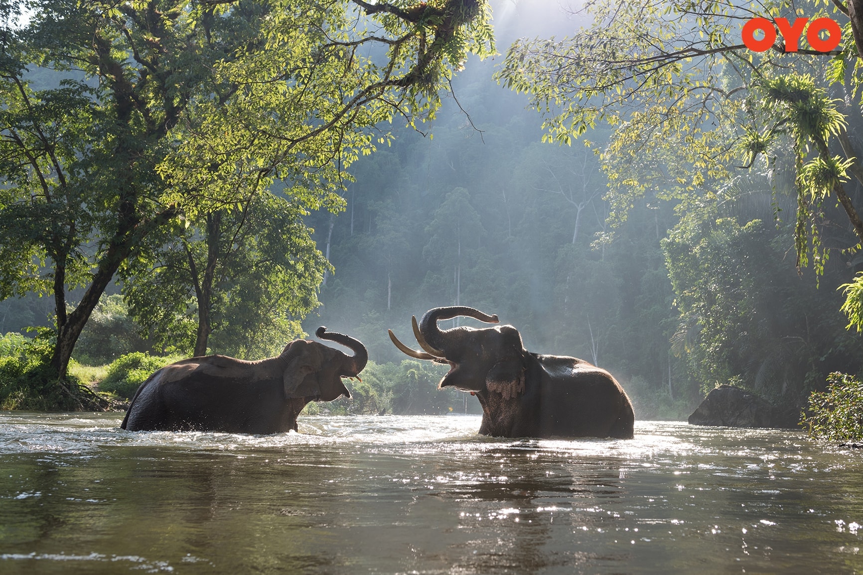 Kabini- One of the Best tourist places near Bangalore within 300 kms