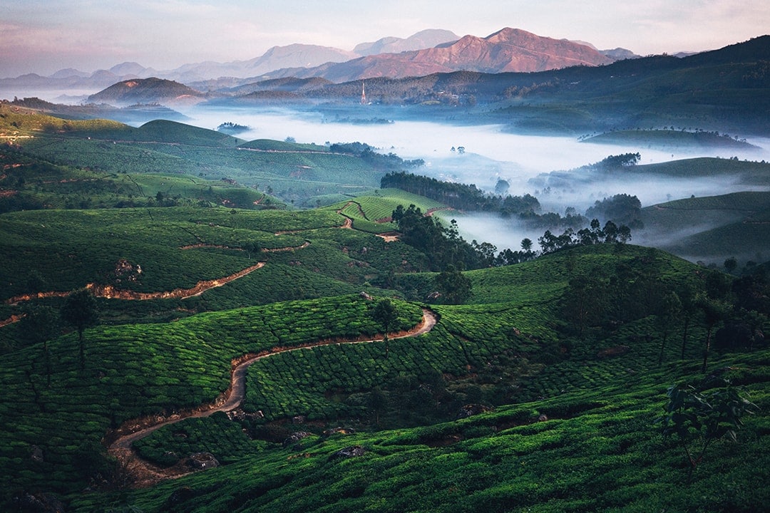 Re-Discover Munnar with this Quick Travel Guide