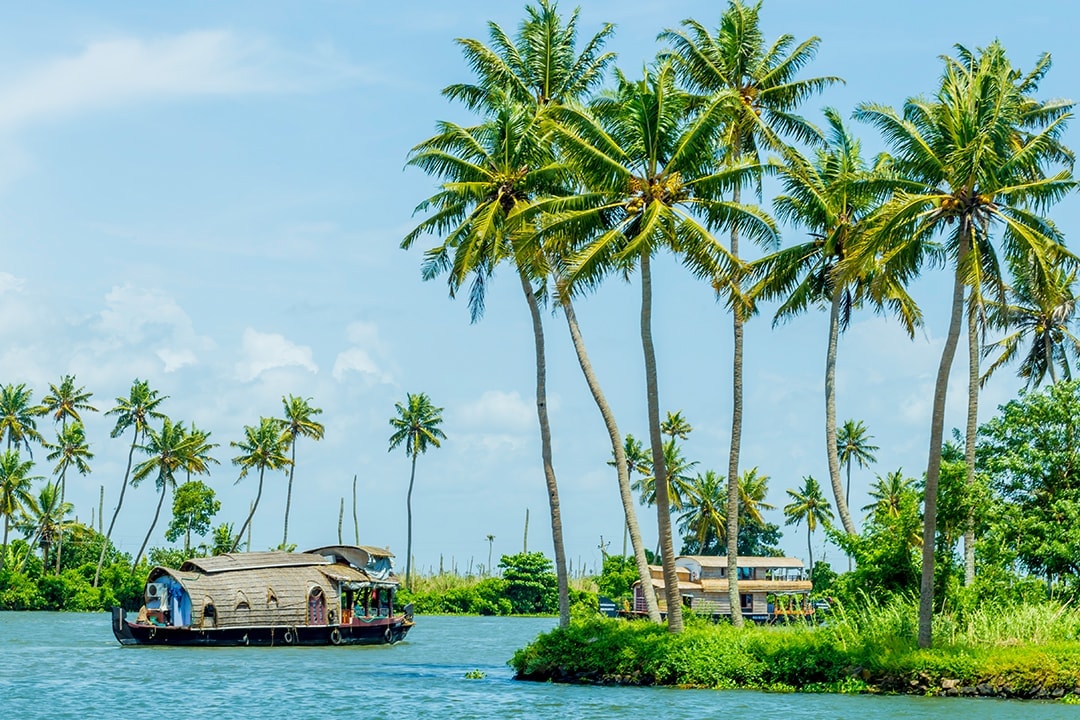 Sailing through the Alappuzha backwaters: A Travel Guide