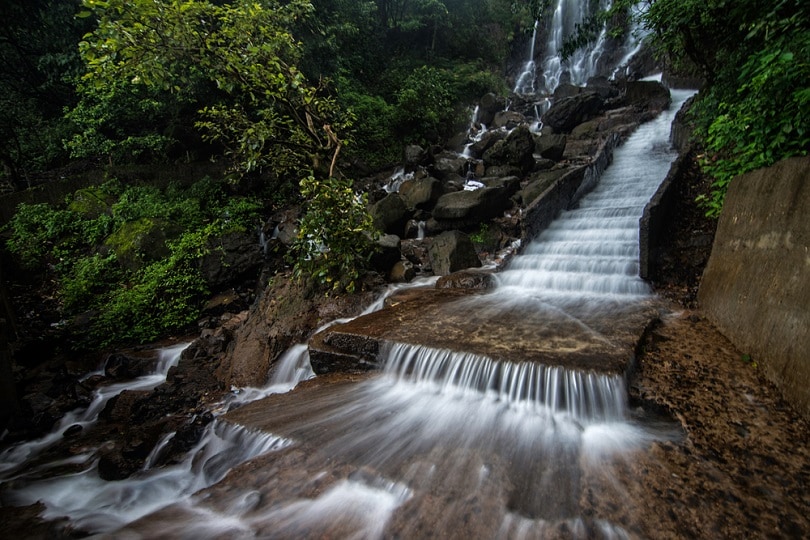 Amboli