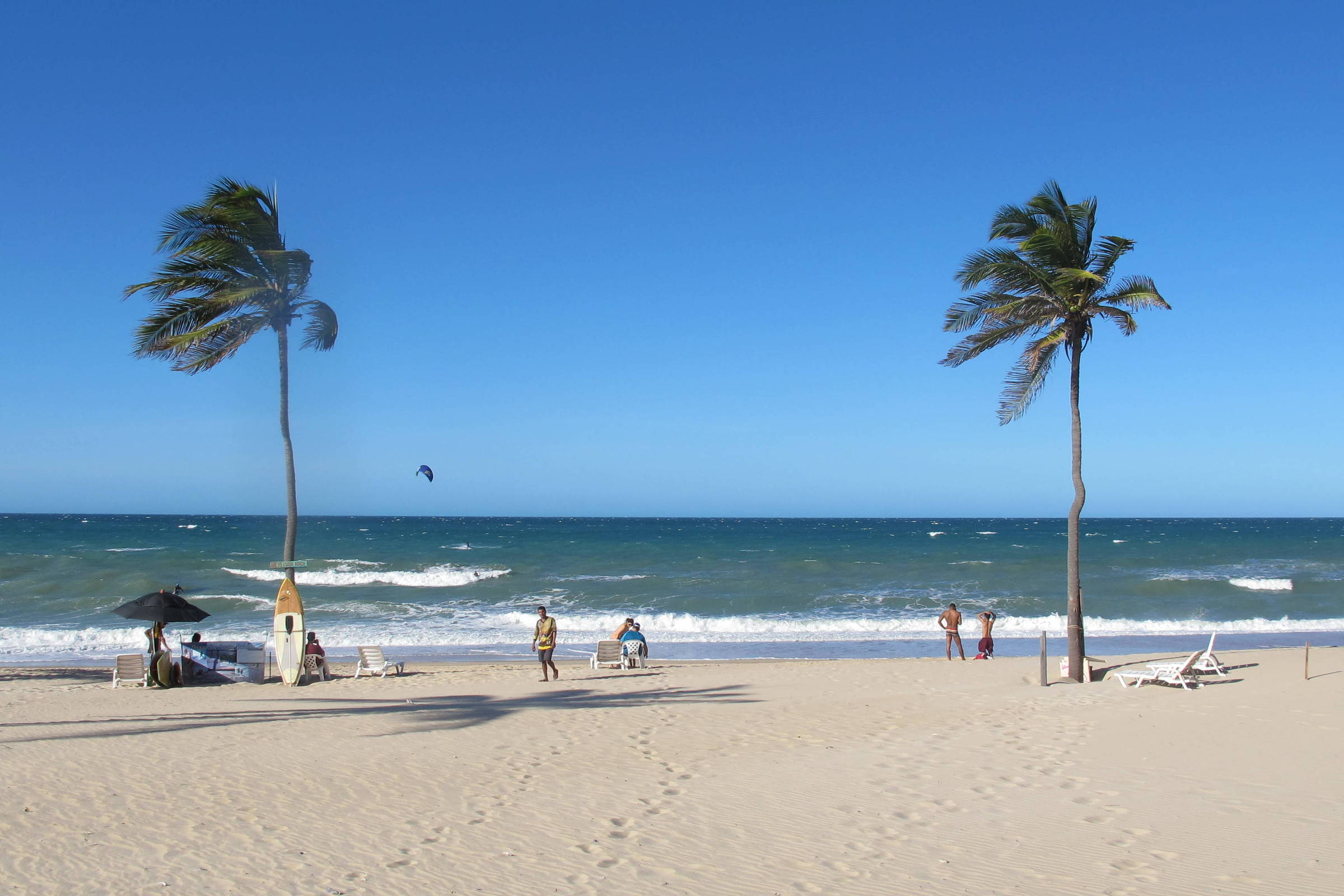 imagem da Praia do Cumbuco, uma das praias em Fortaleza. a imagem contém palmeiras com suas folhas levadas ao vento, uma prancha, algumas pessoas e pegada sobre a areia. o mar está em movimento