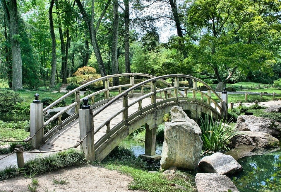 Ponte em meio a floresta para atravessar o rio.