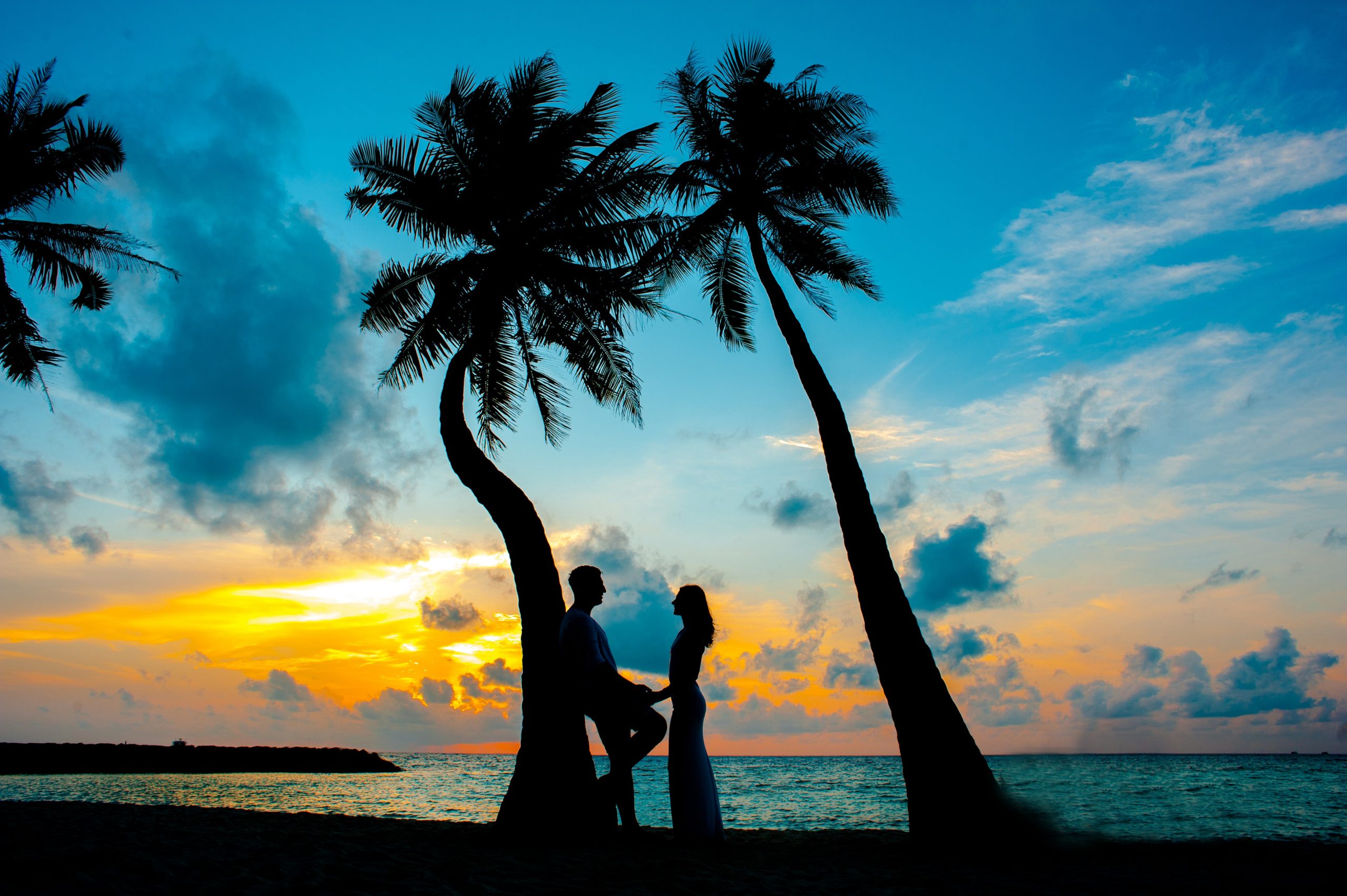 Um casal encostado em uma árvore com o mar de fundo durante uma viagem de lua de mel.