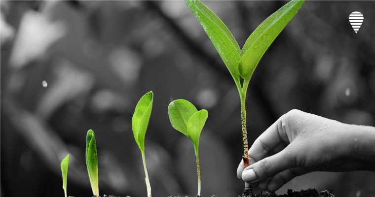 Seeding and Growing Technology @ Startups