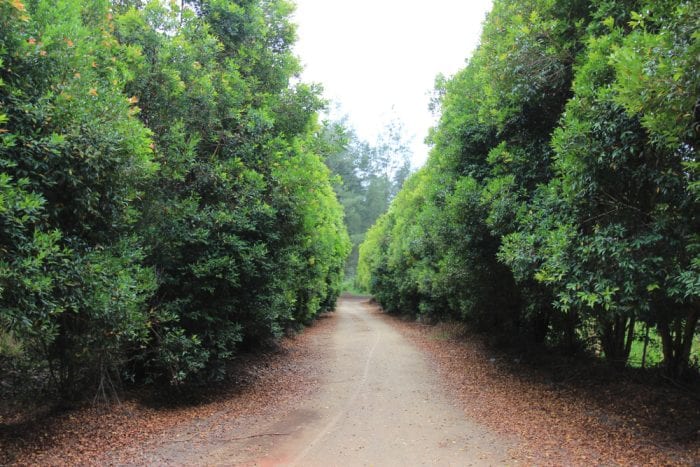 destinasi alam bangka