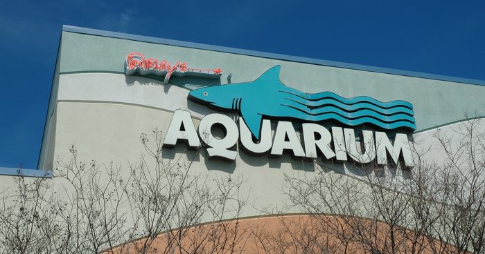 Source | ARipley's Aquarium of Myrtle Beach
