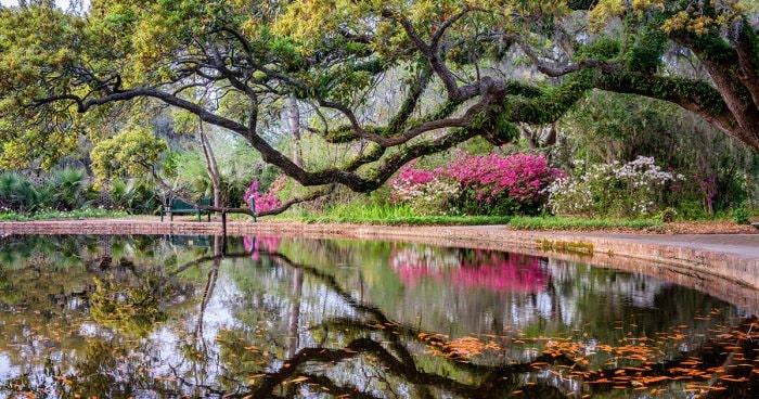 Brookgreen Gardens, Best Day Trip From Myrtle Beach