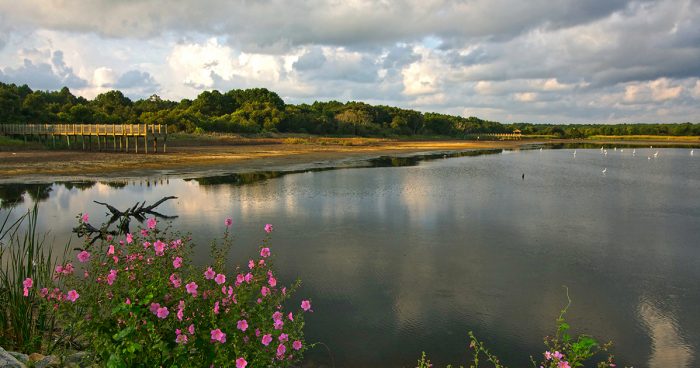 Huntington Beach State Park
