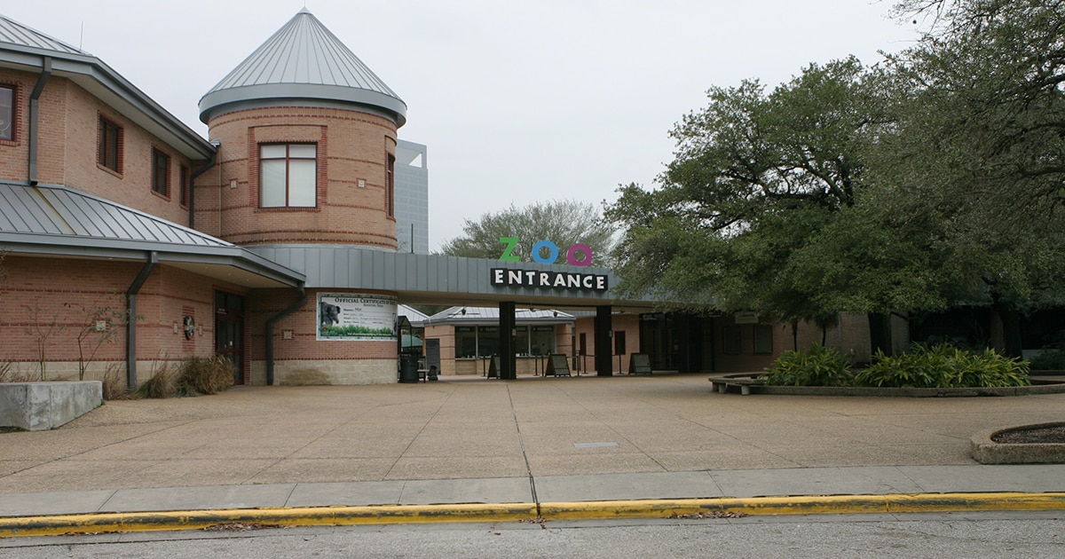 A Trip To Houston Zoo MustSee Attraction, Things To Do, Entry Hours & More The Good Life