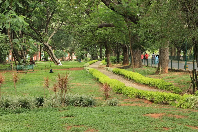 Things To Do In Bangalore The Garden And Lake City Guide Best