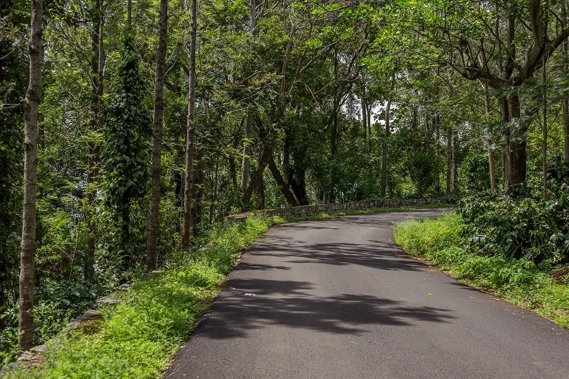 5 facts about the most dangerous road in India- Koli Hill road