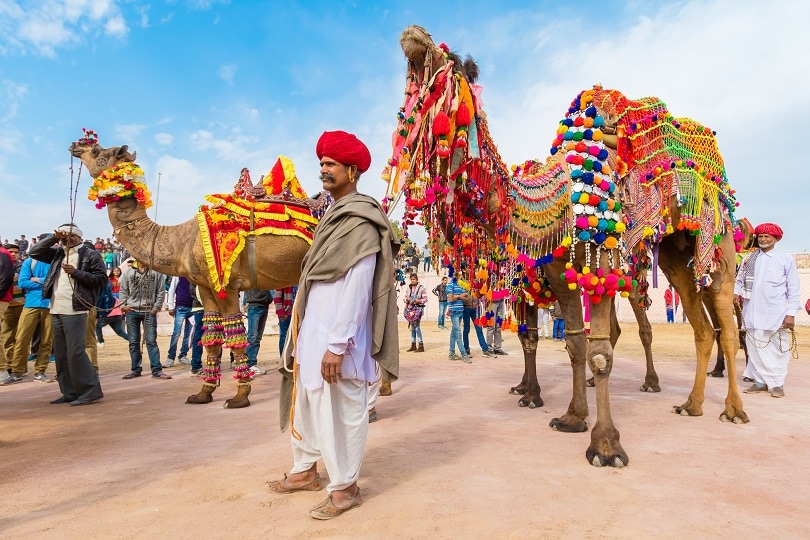  Bikaner Camel Festival