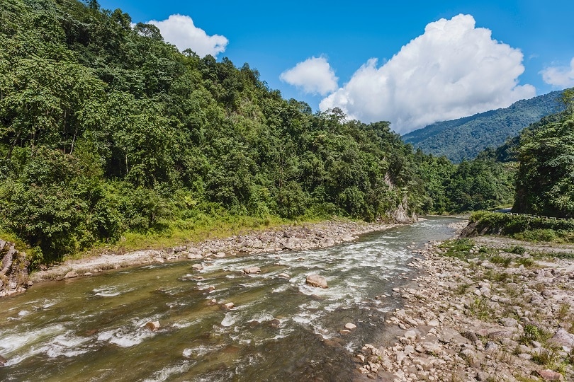 Kameng River 