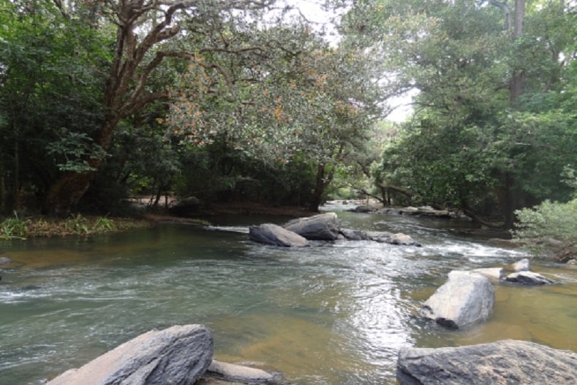 River Kaveri