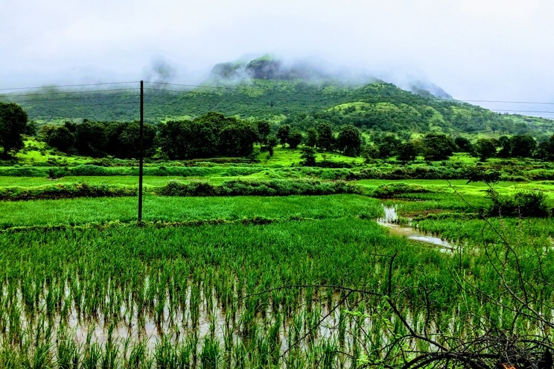 Igatpuri during monsoon