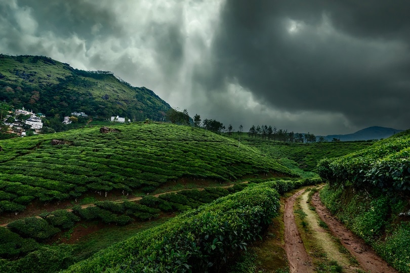 best places to visit india during monsoon