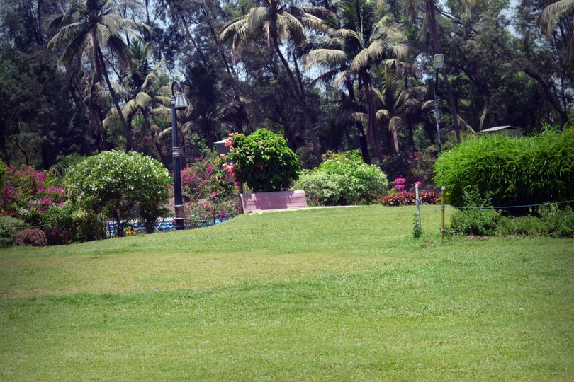 Vanganga Garden