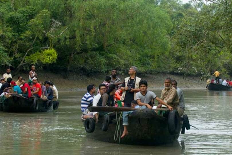 Sunderban boat safari