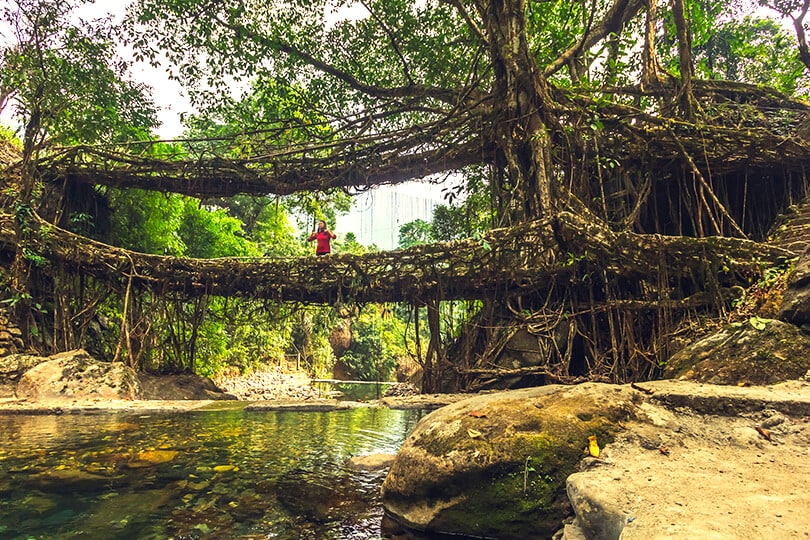 Double-Decker-Bridge