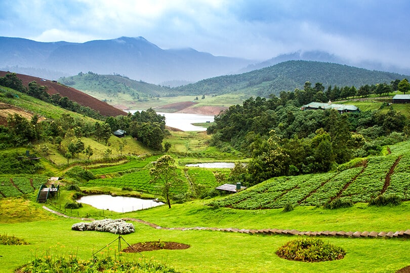 mountain-hike-in-Ooty