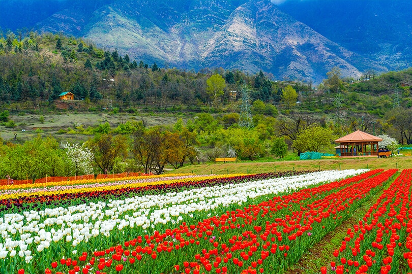 8 Exciting Thingstodo in Kashmir for a Memorable Summer Vacation OYO