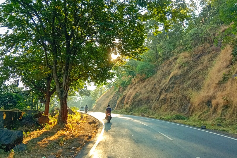 Vansda-National-Park